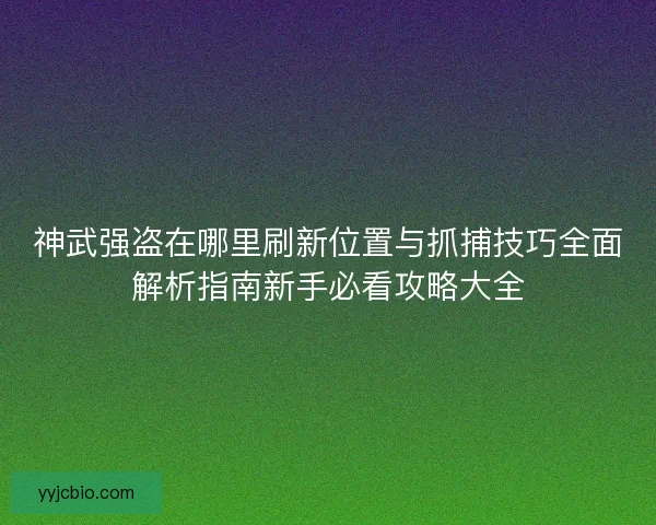 神武强盗在哪里刷新位置与抓捕技巧全面解析指南新手必看攻略大全