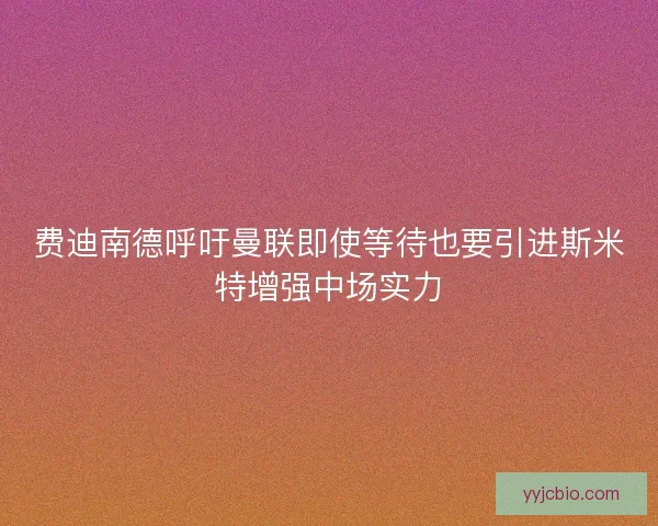费迪南德呼吁曼联即使等待也要引进斯米特增强中场实力