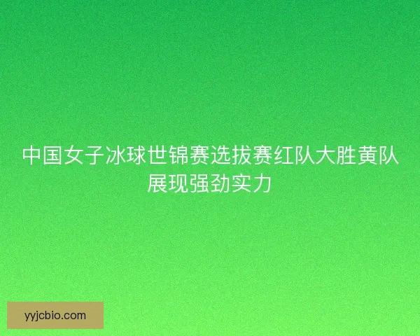 中国女子冰球世锦赛选拔赛红队大胜黄队展现强劲实力